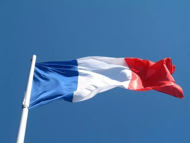 法國總統(tǒng)宣布——海上風電降電價！