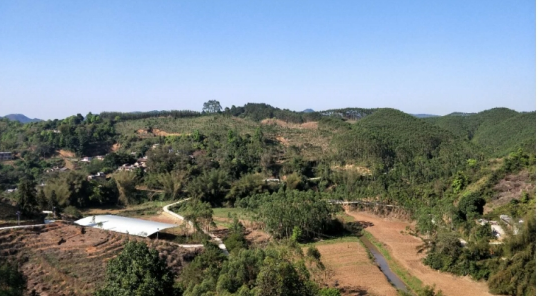 互聯(lián)網(wǎng)＋認(rèn)養(yǎng)農(nóng)業(yè)，顛覆產(chǎn)業(yè)綻放輝煌