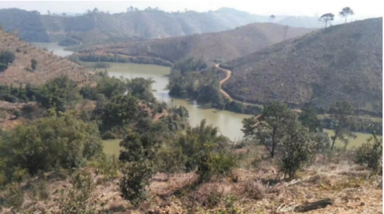 互聯(lián)網(wǎng)＋認(rèn)養(yǎng)農(nóng)業(yè)，顛覆產(chǎn)業(yè)綻放輝煌