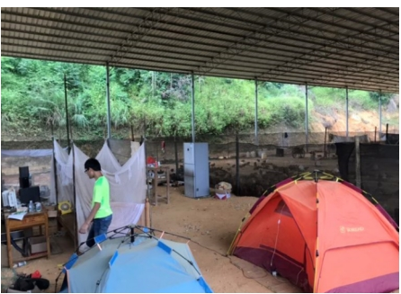 互聯(lián)網(wǎng)＋認(rèn)養(yǎng)農(nóng)業(yè)，顛覆產(chǎn)業(yè)綻放輝煌