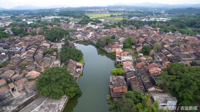 農(nóng)業(yè)特色互聯(lián)網(wǎng)小鎮(zhèn)該怎么建