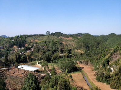 互聯(lián)網(wǎng)＋認養(yǎng)農(nóng)業(yè) 顛覆產(chǎn)業(yè)綻放輝煌（圖）