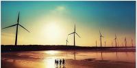 觀點(diǎn)丨海上風(fēng)電迎競價時代