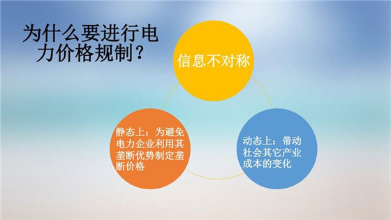 我國電力價(jià)格規(guī)制現(xiàn)狀、存在的問題及原因分析