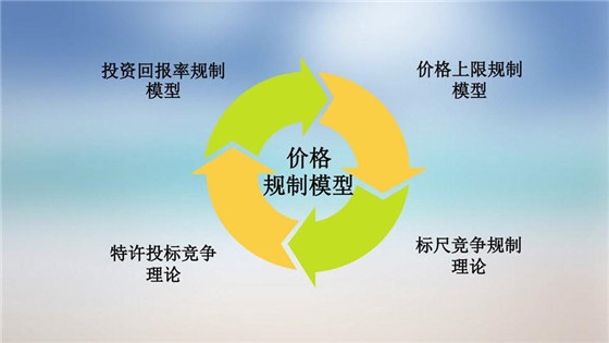 我國電力價(jià)格規(guī)制現(xiàn)狀、存在的問題及原因分析