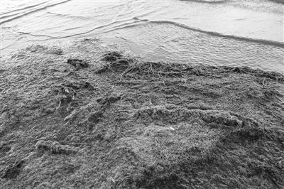 內(nèi)蒙古“一湖兩?！敝卫磉M(jìn)展緩慢