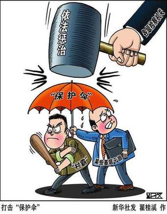 嚴(yán)打村霸等黑惡勢力犯罪及其背后的“保護(hù)傘”