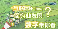 “互聯(lián)網(wǎng)+”如何促農(nóng)業(yè)發(fā)展？<font color=