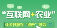 圖解丨“互聯(lián)網(wǎng)+農(nóng)業(yè)”讓鄉(xiāng)村振興“點(diǎn)擊”可見(jiàn)