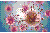 細(xì)菌也能作太陽能電池，光轉(zhuǎn)化電流密度創(chuàng)紀(jì)錄