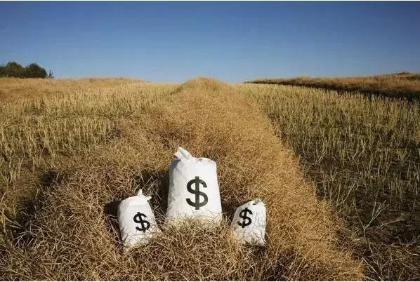 顛覆！裂變！賦能！互聯(lián)網(wǎng)+農(nóng)業(yè)領(lǐng)域的“豬飛起來(lái)了”