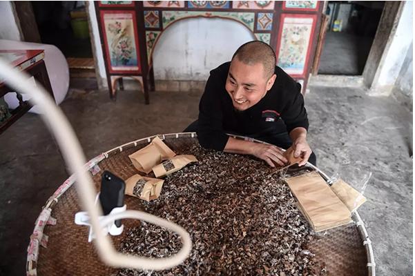 顛覆！裂變！賦能！互聯(lián)網+農業(yè)領域的“豬飛起來了”