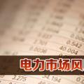 電力市場風(fēng)險管理方法