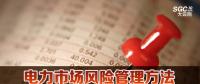 電力市場風(fēng)險管理方法