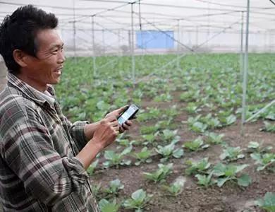 國務(wù)院常務(wù)會議鼓勵的“互聯(lián)網(wǎng)+農(nóng)業(yè)”創(chuàng)新手段，幫你找到了案例