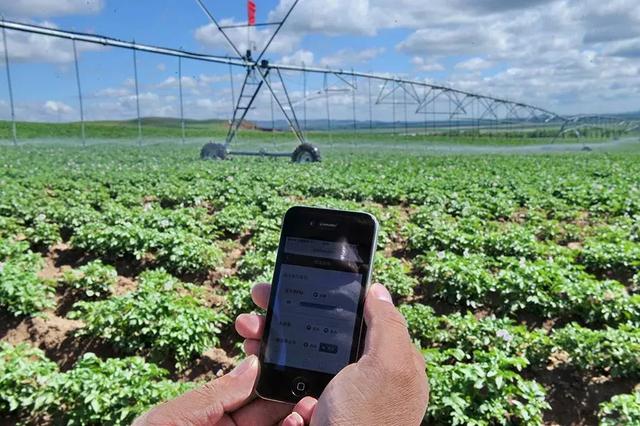 國(guó)務(wù)院常務(wù)會(huì)議鼓勵(lì)的“互聯(lián)網(wǎng)+農(nóng)業(yè)”創(chuàng)新手段，幫你找到了案例