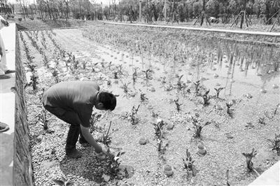 三年攻堅，滇池保護(hù)治理力爭實現(xiàn)新突破