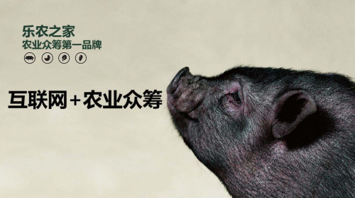 互聯(lián)網(wǎng)+農(nóng)業(yè)眾籌只賺吆喝 利潤全被用戶拿走了？