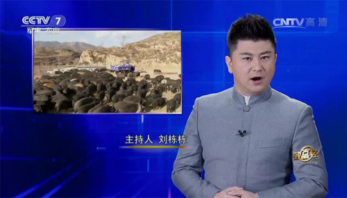 互聯(lián)網(wǎng)+農(nóng)業(yè)眾籌只賺吆喝 利潤全被用戶拿走了？