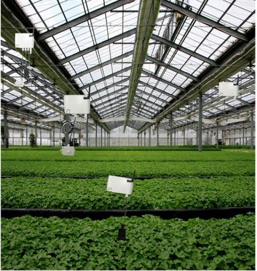 “互聯(lián)網(wǎng)+農(nóng)業(yè)”，創(chuàng)造農(nóng)村發(fā)展新活力