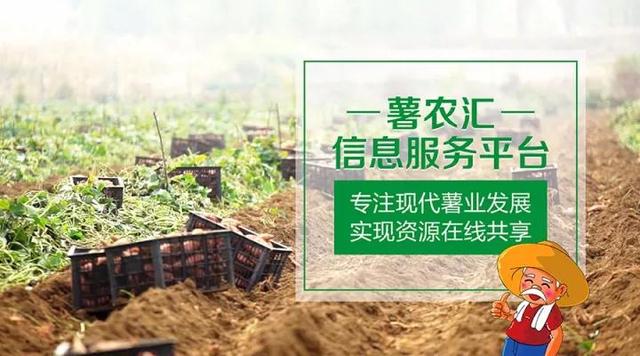 “互聯(lián)網(wǎng)+農(nóng)業(yè)”，創(chuàng)造農(nóng)村發(fā)展新活力