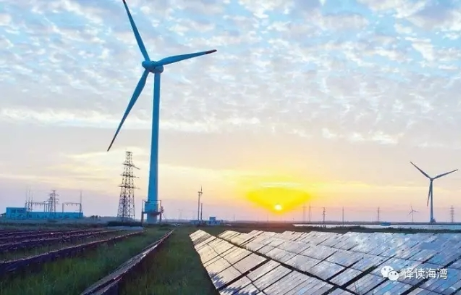 低價中標？400MW風電項目收到4份正式報價