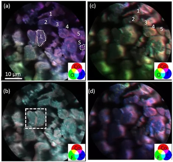 最新發(fā)現(xiàn) 導(dǎo)電劑、粘結(jié)劑的分布可能導(dǎo)致鋰離子電池正極材料熱失控