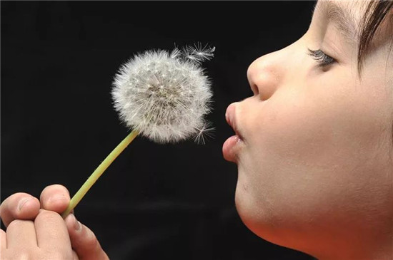 電動(dòng)車的動(dòng)力電池 和我的iPhone X有啥區(qū)別