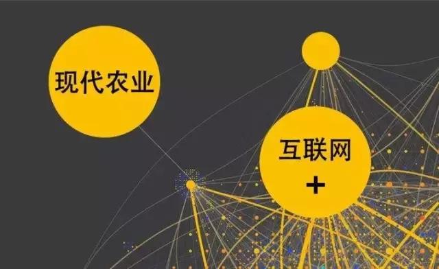 如何用“互聯(lián)網(wǎng)+”重塑農(nóng)業(yè)競爭優(yōu)勢？