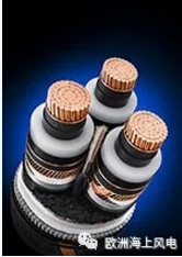 全球首次！海上風(fēng)電66kV<font color=