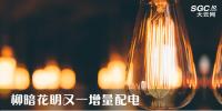 電力體制改革 |“柳暗花明”又一增量配電