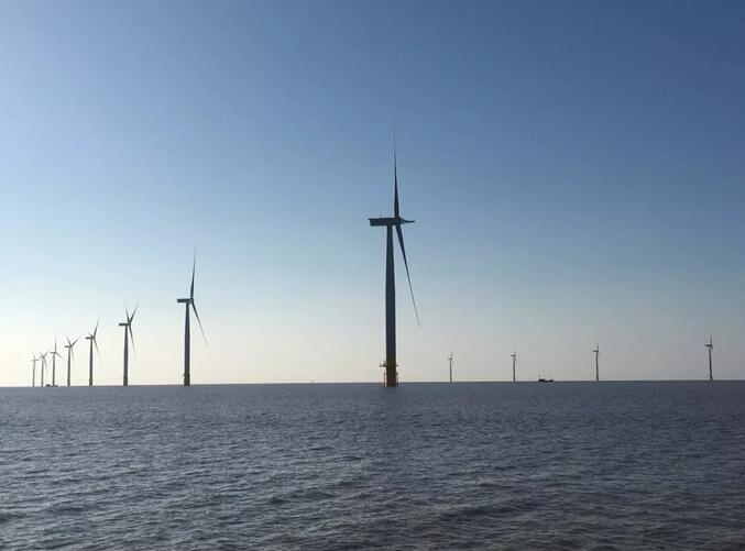 我國首個(gè)遠(yuǎn)海潮間帶項(xiàng)目提前110天全部進(jìn)入質(zhì)保期