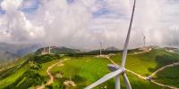 巴西新一輪招標將授予1吉瓦風電項目