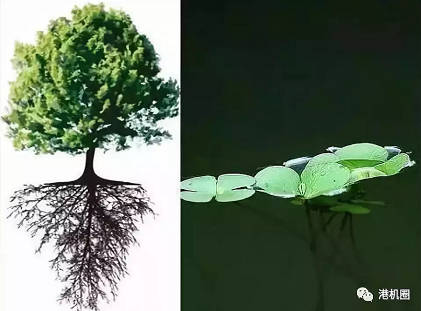 插樁式、坐底式 詳解海上風(fēng)電安裝平臺(tái)的作業(yè)方式