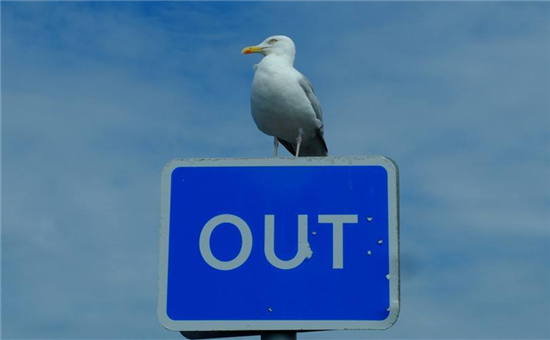 中國動(dòng)力電池行業(yè)前五出貨量占比80% 二線企業(yè)基本將出局？