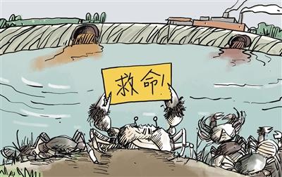 上游污水“毒死”萬畝大閘蟹，誰擔其責？
