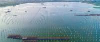 泗洪光伏發(fā)電應(yīng)用領(lǐng)跑基地2、4號漁光互補項目建設(shè)紀(jì)實