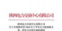 陜西電力交易中心有限公司關于開展陜西省2018年下半年自主協(xié)商模式第一次電力直接交易的通知