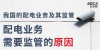 配電業(yè)務(wù)需要監(jiān)管的原因、我國的配電業(yè)務(wù)及其監(jiān)管
