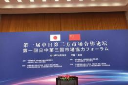 安倍晉三訪華 協(xié)鑫、天合和晶科為光伏行業(yè)長臉了！