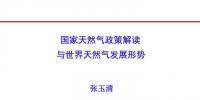 國家能源局原副局長張玉清：國家天然氣政策解讀與世界天然氣發(fā)展形勢