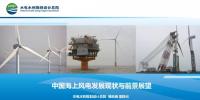 中國海上風電發(fā)展現(xiàn)狀與前景展望