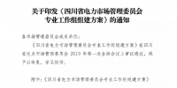 四川省電力市場管理委員會(huì)專業(yè)工作組組建方案發(fā)布