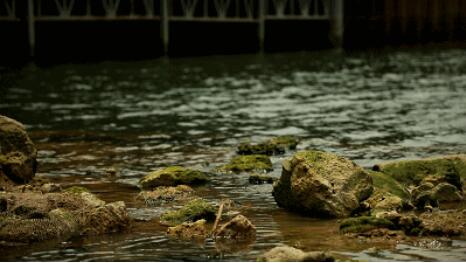 水污染治理市場(chǎng)狂歡背后：環(huán)保企業(yè)如何活出新高度？