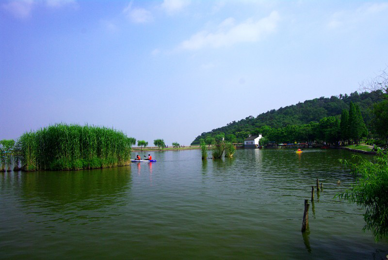 “應龍杯”2019年中國制造業(yè)信息化年度評選正式拉開帷幕