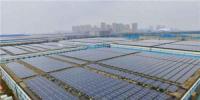 國(guó)內(nèi)最大自發(fā)自用平價(jià)上網(wǎng)的屋頂分布式光伏項(xiàng)目全額并網(wǎng)