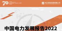 中國電力發(fā)展報告2022
