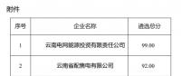 2025年云南電力市場保底售電公司候選名單公示！